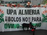 El Gobierno aprueba la nueva normativa de identificación de ganado ovino y caprino
