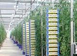 HORTYFRUTA muestra a productores daneses las técnicas de control biológico empleadas en la horticultura de Almería y Granada