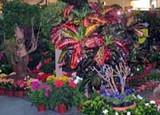 Comienza IBERFLORA, la feria de referencia del sector de flor y planta viva español