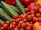 Hortyfruta apoya la ordenación total del sistema de gestión de residuos agrícolas en Almería