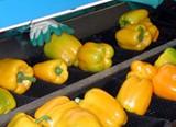 Villauriz destaca el papel de las organizaciones en el control del producto hortofrutícola