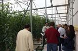 La participación, clave del éxito de la Jornada Profesional de Syngenta Seeds en Almería
