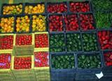 COAG y ASAJA establecen los 30 céntimos por kilo como precio mínimo unilateral