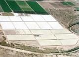 Productores internacionales destacan el papel de la agricultura frente el hambre y la biodiversidad
