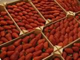 Agricultura anuncia nuevas acciones promocionales para reforzar la imagen de la fresa