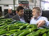 El delegado de Agricultura valora los resultados del Decreto de Tipificación