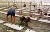 Agricultura solicita a las autoridades comunitarias poder anticipar las ayudas de la PAC