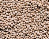 Garbanzos 'made in Almería'