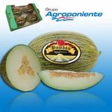 Llega al mercado ‘Bombón de Agroponiente’, el primer melón con categorías en función de sus grados de azúcar