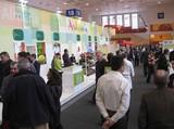 Almería incrementa un 10,2% la exportación de hortalizas frescas en el primer trimestre del año