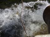 Acuamed organiza en Almería un curso sobre el uso del agua desalada en la agricultura