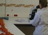 Cien técnicos agrícolas asisten al seminario sobre los resultados de ensayos en Las Palmerillas
