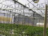 El Secretario de Estado de Medio Rural y Agua destaca la vinculación de la agricultura con los objetivos de la Estrategia 2020