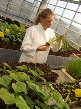 Agrodan ha pasado a denominarse Cheminova Agro para trasladar al mercado español la fuerza de una marca líder a nivel mundial en sanidad vegetal