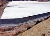Cajamar ya ha confirmado que tiene preconcedidos 150 millones de euros para el campo almeriense