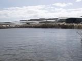 Rega-Almería se plantea impugnar las recientes elecciones de Sol y Arena