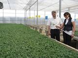 La Junta propone la concesión de casi 900.000 euros de subvención a 14 semilleros almerienses para mejorar la producción de plantones y plantas