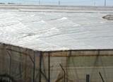 La agricultura bajo plástico centra la X Semana de la Ciencia en Almería