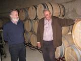 Almería incrementa un 34% la producción de vino gracias al rendimiento de la uva de vinificación