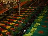 Expo Agro-Almería firma un acuerdo con la Feria Expo Sahara de Egipto, por el que intercambiarán suelo comercial