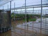 COAG Almería reclama a las administraciones públicas que actúen ante las lluvias que han anegado invernaderos y caminos en el Poniente