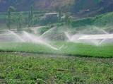 La 'sequía de medidas' en 2010 agudiza la crisis del campo español, según Fenacore