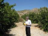 La Junta  abona 10,2 millones de euros en ayudas directas a productores almerienses de almendra, olivar, cítricos y ovino