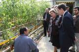 Aguilera anuncia que la nueva Orden de invernaderos cubrirá inversiones de hasta 3 millones de euros