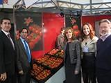 La exportación de productos agroalimentarios de Almería a Alemania crece más de un 13% hasta noviembre