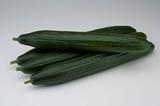 Nunhems presenta su nueva variedad de pepino, RijanaF1