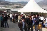 Syngenta Seeds presenta su novedades en pepino de invierno