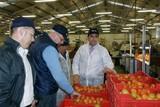 El alcalde de Níjar se acerca a las empresas agrícolas del municipio para conocerlas en profundidad