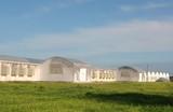 Syngenta Bioline inaugura una nueva biofábrica de insectos y ácaros beneficiosos en Portugal para liderar el mercado de Manejo Integrado de Cultivos (ICM)