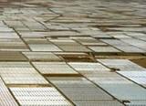 Cámara Formación lanza el programa superior de energías renovables en la industria agrícola
