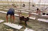 Más de ocho millones de euros del ministerio de Trabajo e Inmigración para el Programa de Fomento de Empleo Agrario