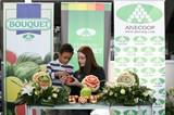 Anecoop consigue su cifra récord de facturación y mejora las liquidaciones de sus cooperativas socias