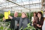Agricultura confirma el liderazgo andaluz tras invertir más de 167 millones desde 2007 en producción ecológica