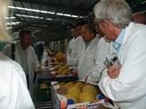 En Edeka aseguran que el futuro del campo de Almería pasa por un giro en su producción