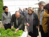 Almería incrementa un 25% sus exportaciones de hortalizas frescas en el primer trimestre del año