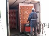 Agrupaejido comienza a enviar productos a Inglaterra por barco