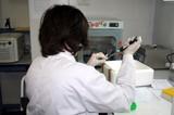 Savia Biotech diseña un nuevo servicio para detectar la bacteria O104H4 en partidas de pepinos