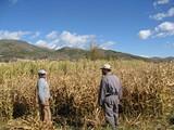 La Junta ayuda con más de 740.000 euros a los agricultores de Almería con explotaciones en zonas de montaña y con dificultades naturales
