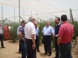 Empresarios agrícolas exploran con la cámara nuevas posibilidades de negocio en la región mexicana de Baja California