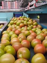 La exportación de frutas y hortalizas aumentó un 19% en el primer cuatrimestre de 2011