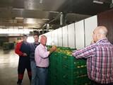 El Gobierno andaluz refuerza los controles  de comercialización de frutas y hortalizas frescas