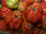 La comisión de Agricultura del Parlamento Europeo rechaza el acuerdo agrícola con Marruecos