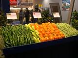 Lorenzo Ramos pide en Europa “respeto” a las frutas y hortalizas españolas