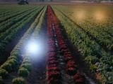 El sector agroalimentario se ajusta frente al descenso del consumo