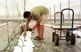 CCOO espera que el convenio colectivo del campo mitigue la pérdida de poder adquisitivo de los trabajadores del campo almeriense