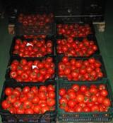 La Junta invierte más de 300.000 euros para la mejora de industrias agroalimentarias en 2010